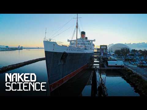 Life Inside The Queen Of The Seas