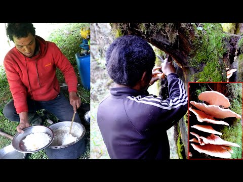 Finding Himalayan WILD MUSHROOM by a shepherd Boy || Rural Nepal Quest