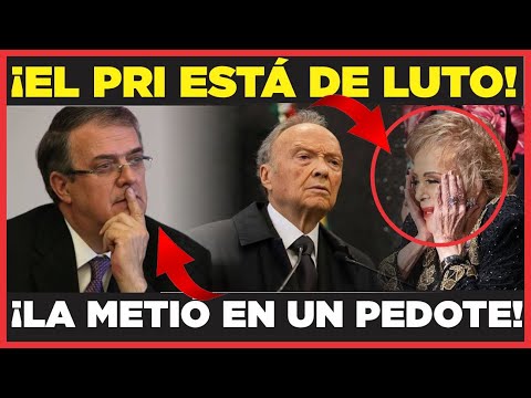 ¡DESTAPAN OSCURO PASADO DE SILVIA PINAL! GERTZ MANERO QUERÍA DARLE CUELLO