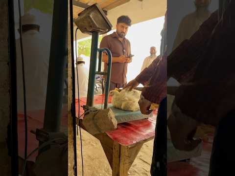 2Kg Bricks 🧱 SetUp 😂Part-1 #youtubeshorts #comedy #shorts  #harekfriendkaminahotahai