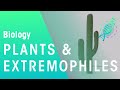 Adaptations of Plants and Extremophiles