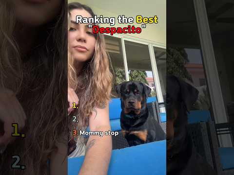 Dogs Can’t Handle Despacito👀😹