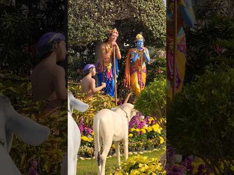 Kanha video status Prabhu Prem banae Rakhna Charanon se Lagaye Rakhna #harekrishna #radheradhe