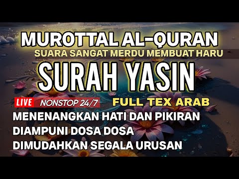 MUROTTAL AL-QURAN MERDU SURAH YASIN  PENYEJUK HATI DAN PIKIRAN LIVE NONSTOP