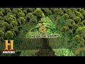 Exploring Artifacts in the Swamp