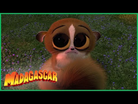 DreamWorks Madagascar em Português