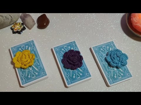 ✨¿QUÉ PASARÁ ENTRE LOS DOS A PARTIR DE AHORA? 💖ELIGE UNA CARTA💖
