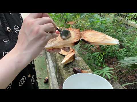 Buổi chiều binh yên bên các bạn nhỏ | Quỳnh Như Vlog