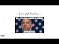 Eutrophication and Aquatic Ecosystems