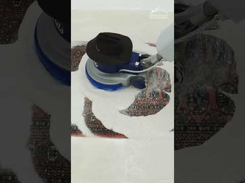 I Used This Crazy Medieval Looking Device on a Rug...