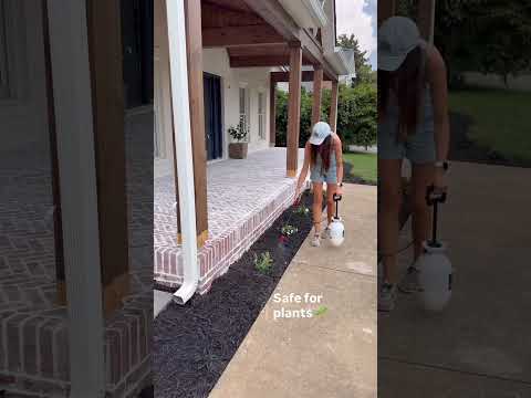 Talk about a life saver for the fall!!! 🍁🍂💨 Now I can use a leaf blower on my mulch 👏