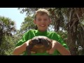 Ecological Contributions and Environmental Awareness
