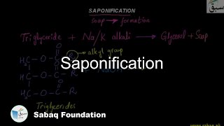 Saponification