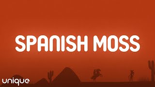Cole Swindell - Spanish Moss (Lyrics)