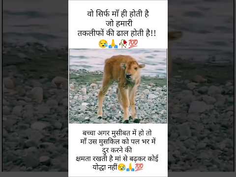 वो सिर्फ माँ ही होती है जो हमारी तकलीफों की ढाल होती है#short