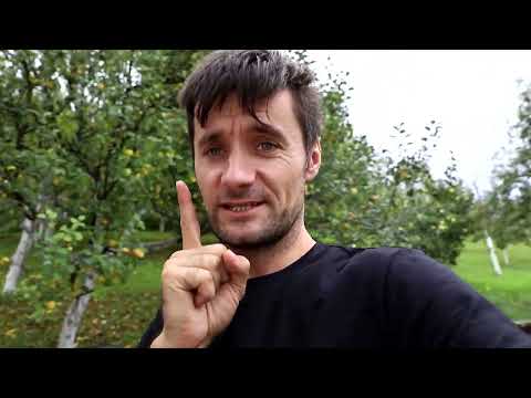 MECA i ARSLAN igraju lude igre