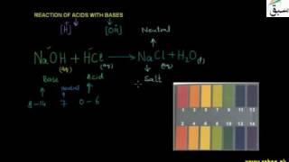 Reaction of Bases with Acids