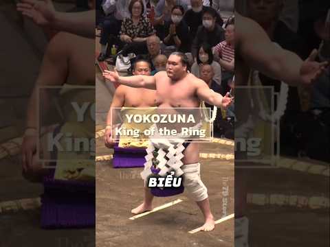 Trở thành Sumo rất khắc nghiệt