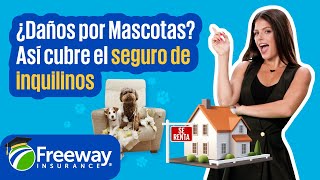 Seguro para Inquilinos y Daños por Mascotas | ¡Debes Saber Esto! 🐶🐾