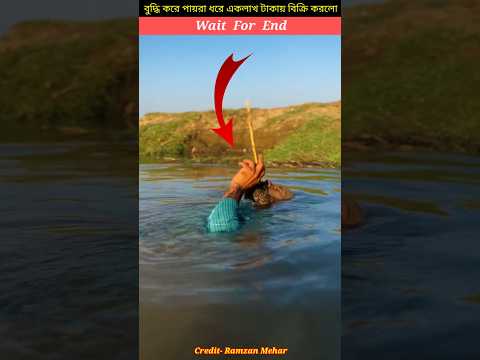 বুদ্ধি করে পায়রা ধরে একলাখ টাকায় বিক্রি করলো 🤯 mini wood toy-woodworking art skills hands #shorts