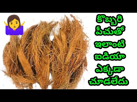 కొబ్బరి పీచు తో ఇలాంటి ఐడియా ఎక్కడా చూడలేదు || Reuse coconut husk | Best out of waste | kitchen tips