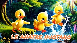 LE ANATRE NUOTANO (canzone in Italiano)- MACOKU TV
