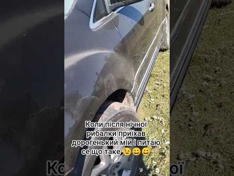 коли після нічної рибалки приїхав дорогенький #село #automobile #шортс #comedians #коміки