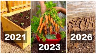 Raised Bed Gardening in Austin Texas - Years of Progress