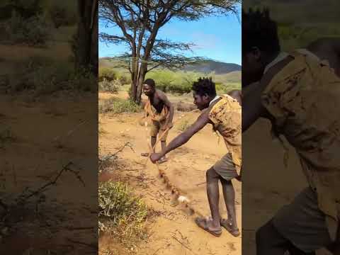 Top Anthropologist Reveals Secrets of Africa's Happiest Tribes