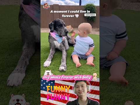🐶❤️👶DOG WANTS FOREVER WITH BABY |#91| #shorts