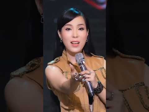 THƯƠNG ĐỜI TÀI XẾ REMIX DIỆP HOÀI NGỌC #diephoaingoc #diephoaingocremix