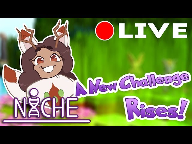 Our New Tribe of Sweet Hearts?! ? Niche: Sweet Heart Tribe ? LIVE • #1