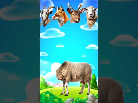 Qurbani Mubarak #shorts #shortvideo #islamicshorts