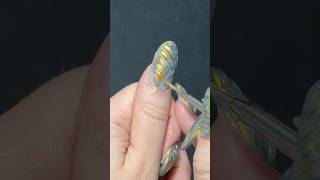 Je teste les ongles coquillages 🐚