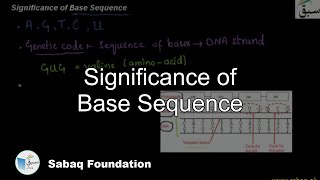 Significance of Base Sequence