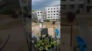 Vor-Gewitter-Stimmung