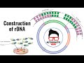 Recombinant DNA Technology Concepts