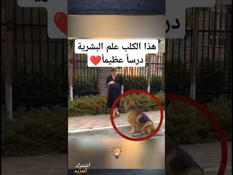 لولا وجود التصوير لما صدقها أحد ، أُذْكُر الله وشاهد للنهاية #shorts .