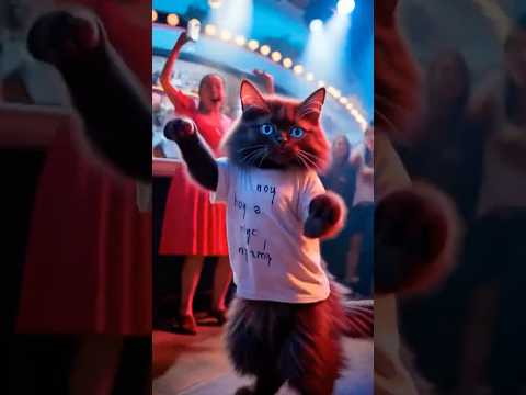 แมวน้อยDjเที่ยวเต้นกระจายแมวเดวิลเมจิ DevilMeiji แมวน้อยDjเที่ยวเต้นกระจายแมวเดวิลเมจิ