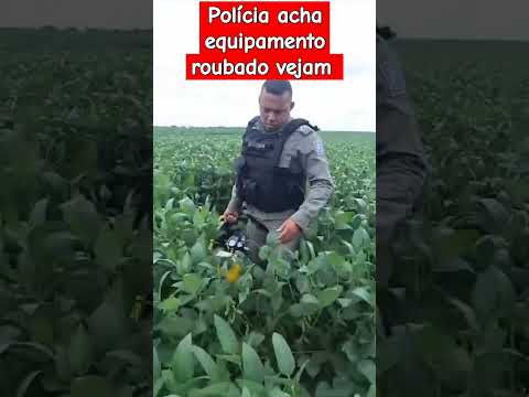 8 de fevereiro de 2025