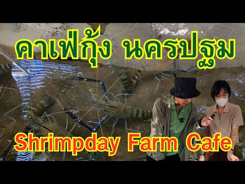 คาเฟ่กุ้งนครปฐมShimpdayFarmCafeคาเฟ่นครปฐมคาเฟ่