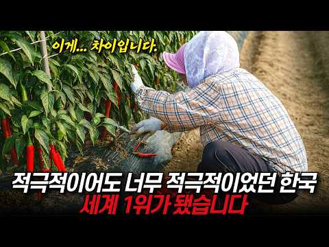 한국과 일본이 서로 우리꺼 아니라고 우기는 채소 “적극적이어도 너무 적극적” / 디씨멘터리