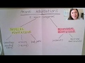 Animal Adaptations and Behaviors