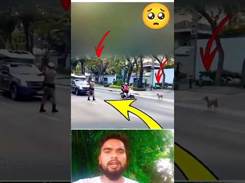 kullu Nafsin Zaiqatul Maut p-28 #القرآن #القرآن_الكريم #تلاوات #القارئ #عبدالرحمن_مسعد 😭😥🥺