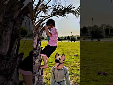 Please Bachao Mujhe 😱 Dangerous Dogs 🥲 #trending #viralvideo #short #shorts #dog