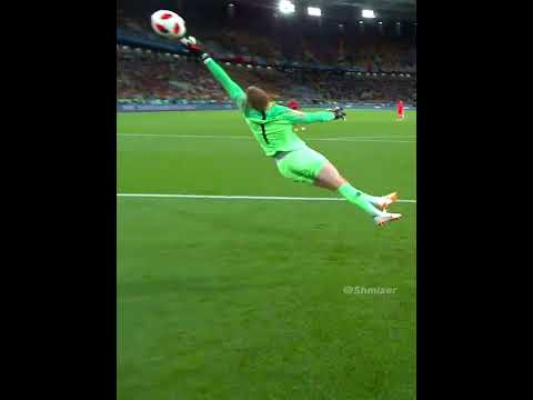 Impressive Goalkeepers Saves ?