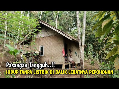 Tangguh !! Puluhan Tahun Sepasang Lansia Tinggal Di Gubuk Kecil Tanpa Listik Pinggir Hutan