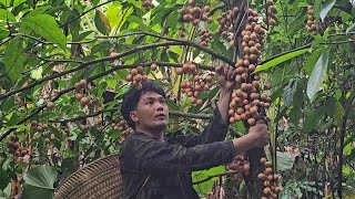 Delicious natural fruit loved by many people