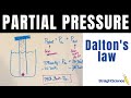 Gas Laws and Pressure Calculations