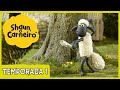 Multiplicação e Perguntas de Compreensão